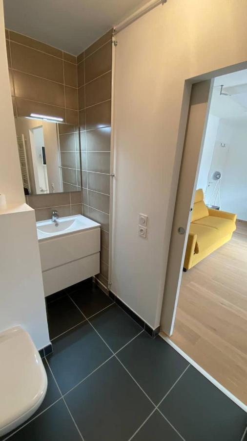 Magnifique Studio Avec Terrasse Et Garage Apartment Chens-sur-Leman Ngoại thất bức ảnh